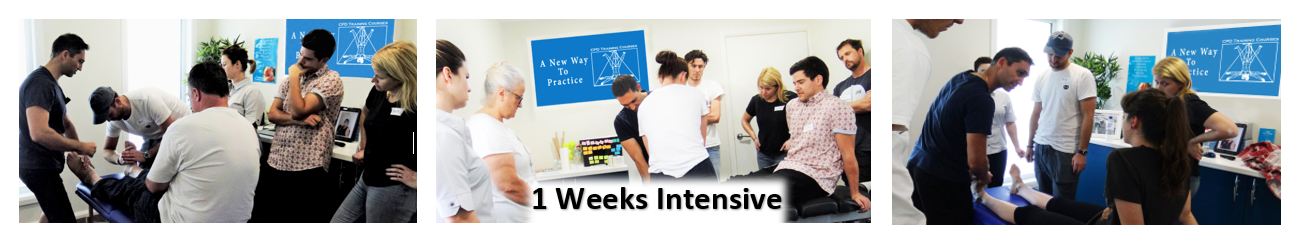 1 weeks intensive - 1 WEEK INTENSIVE